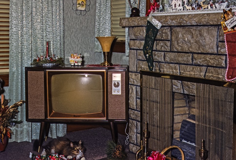 Download free photo of Cat sleeping and decorations around a suburban home during Christmas