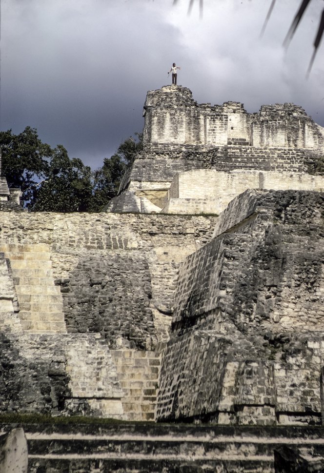 Free image of Man standing on top of a Mayan temple Tikal, Guatemala