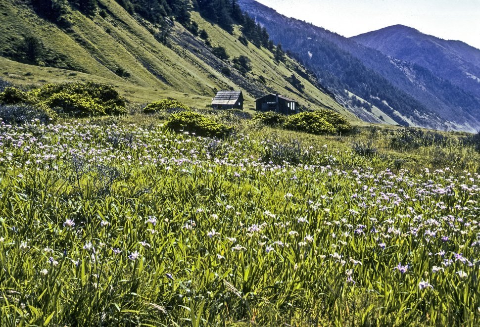 Free image of Cabins in a meadow on a hillside.
