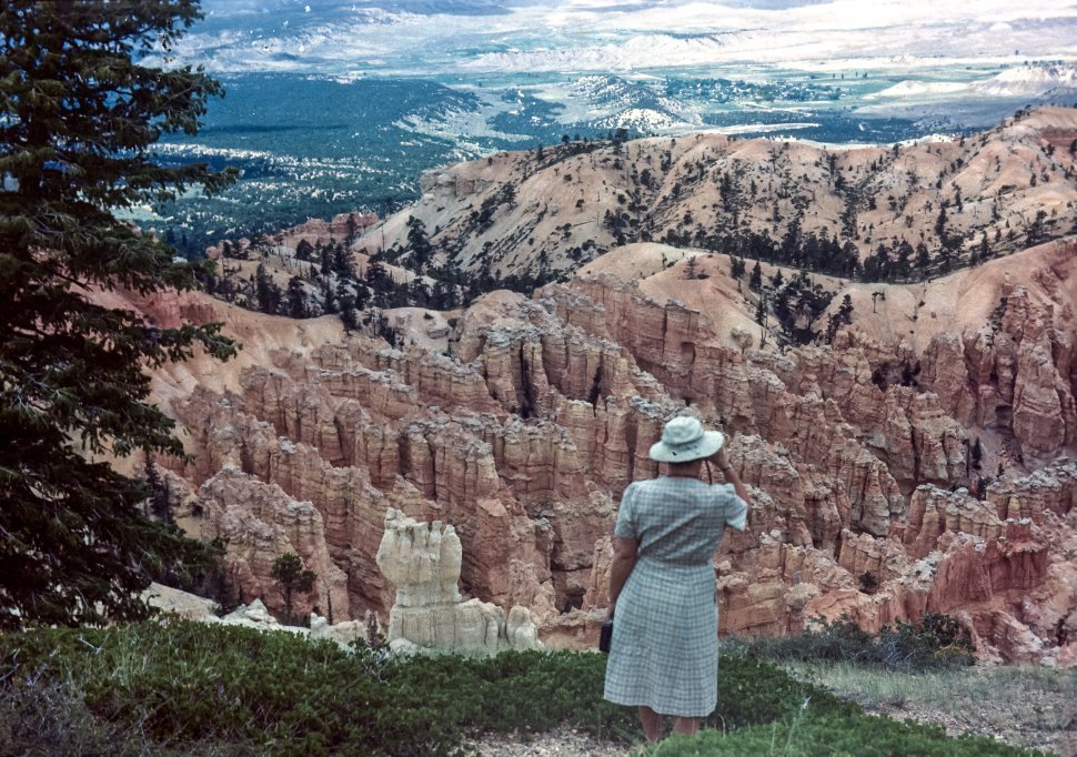 Free image of Woman looking out over Bryce Canyon, Utah, USA