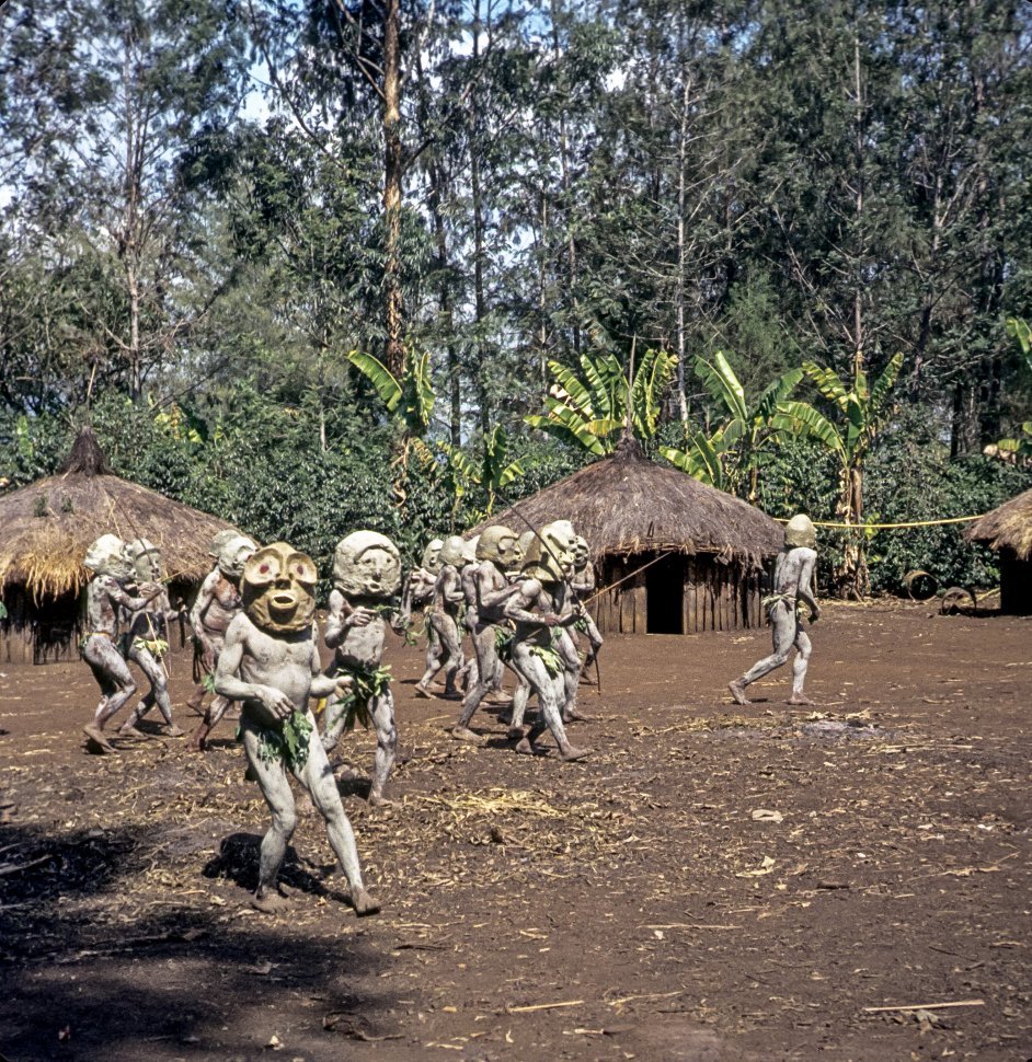 Free image of Group of villagers dancing in costumes and makeup, in a rainforest, in front of their grass huts.