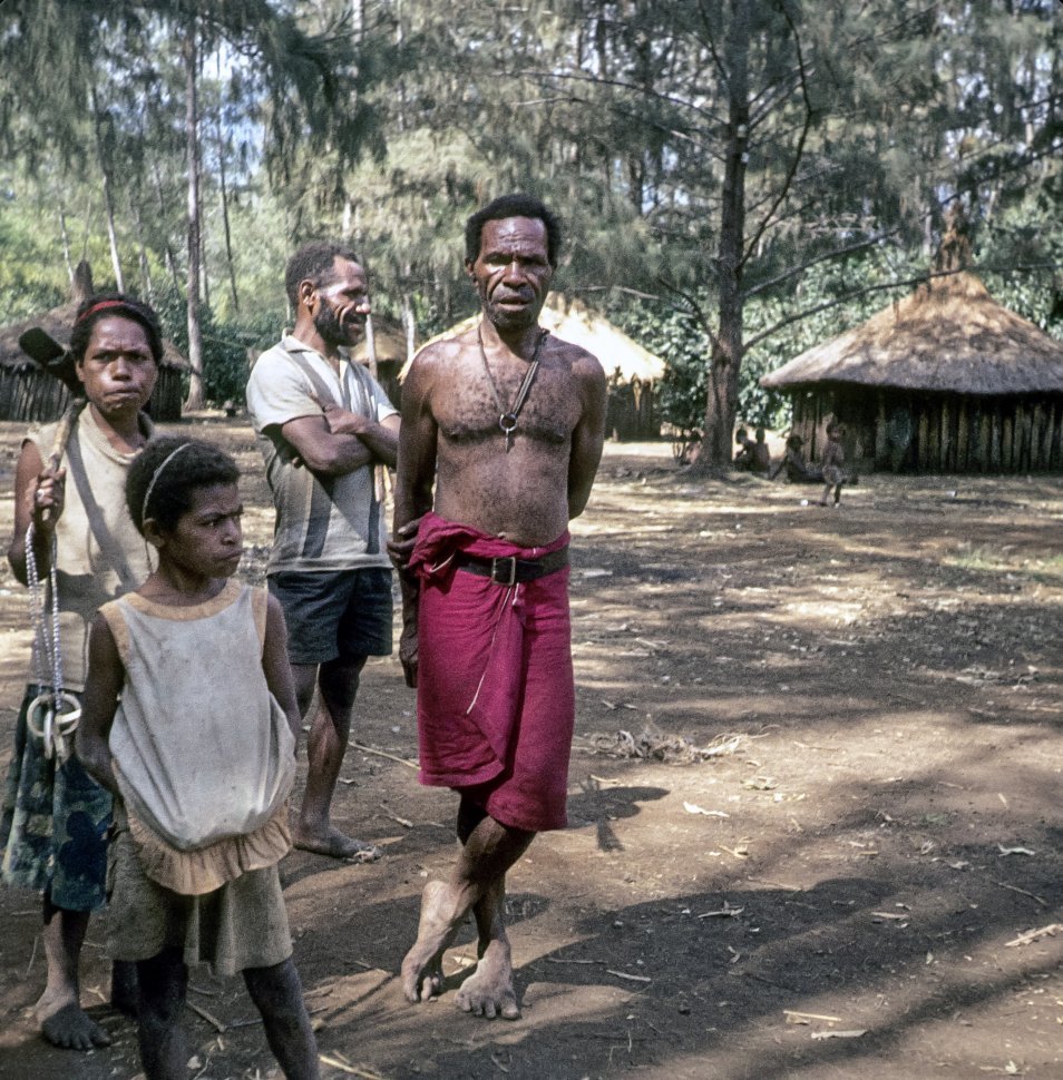 Free image of Group of villagers standing in a rainforest in front of their grass huts.