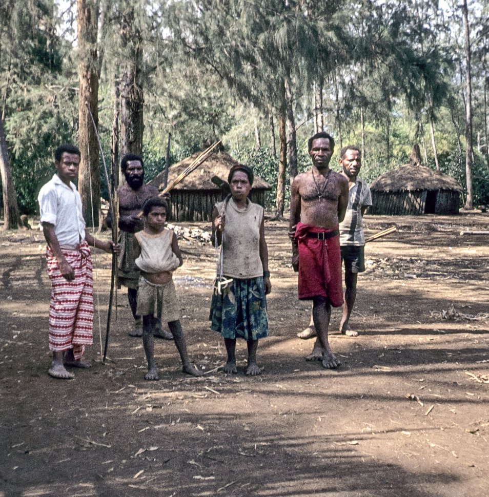 Free image of Group of villagers standing in a rainforest in front of their grass huts.