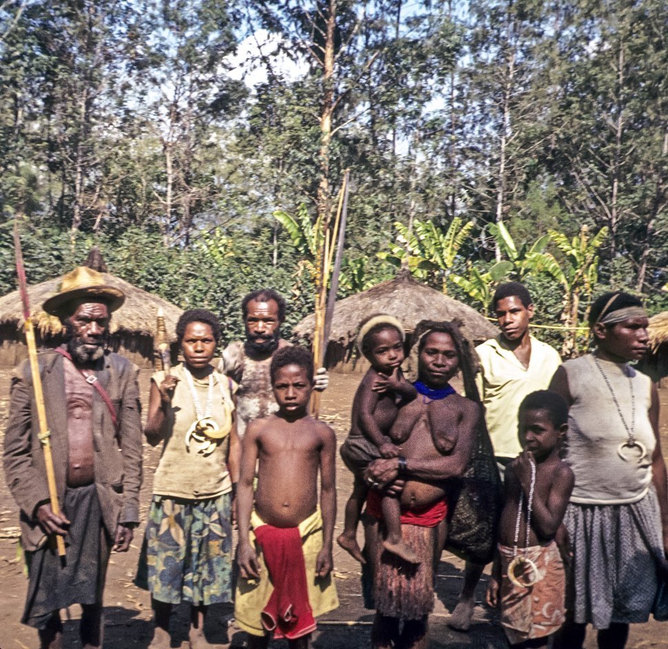 Free image of Tribal people posing in front of a village and rainforest.
