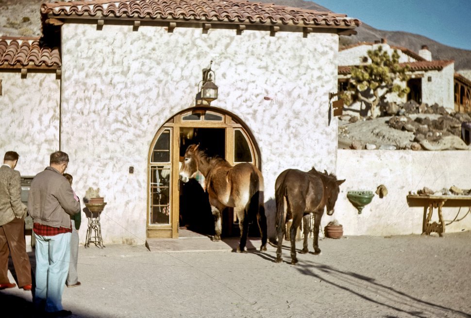 Free image of Burros at the doorway of a hacienda in the desert with people.