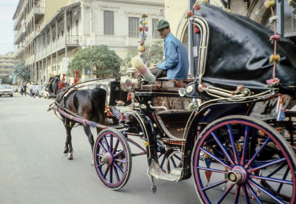 Free image of Decorated horse and carriage with driver, New Orleans, Louisiana, USA