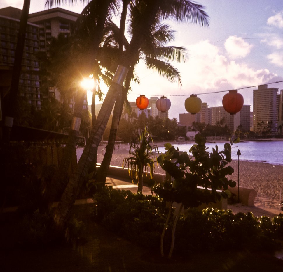 Free image of Sunlight coming through a string of lanterns on the beach, Hawaii, USA
