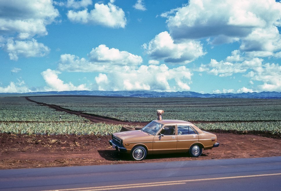 Free image of Vintage car parked next to a field off the road, USA