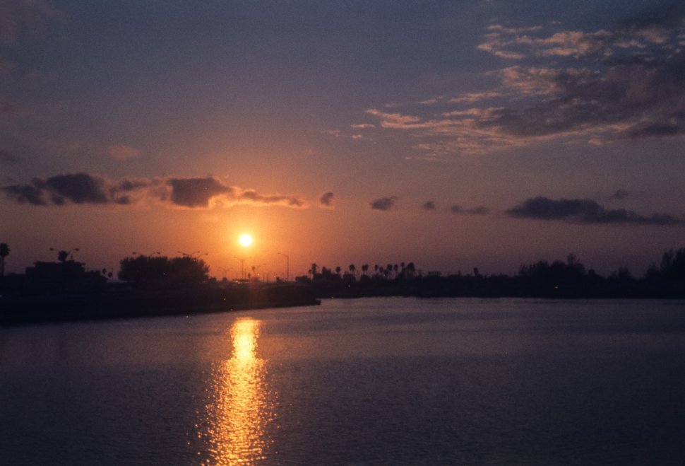 Free image of Palm trees and orange glowing sunset, Hawaii, USA