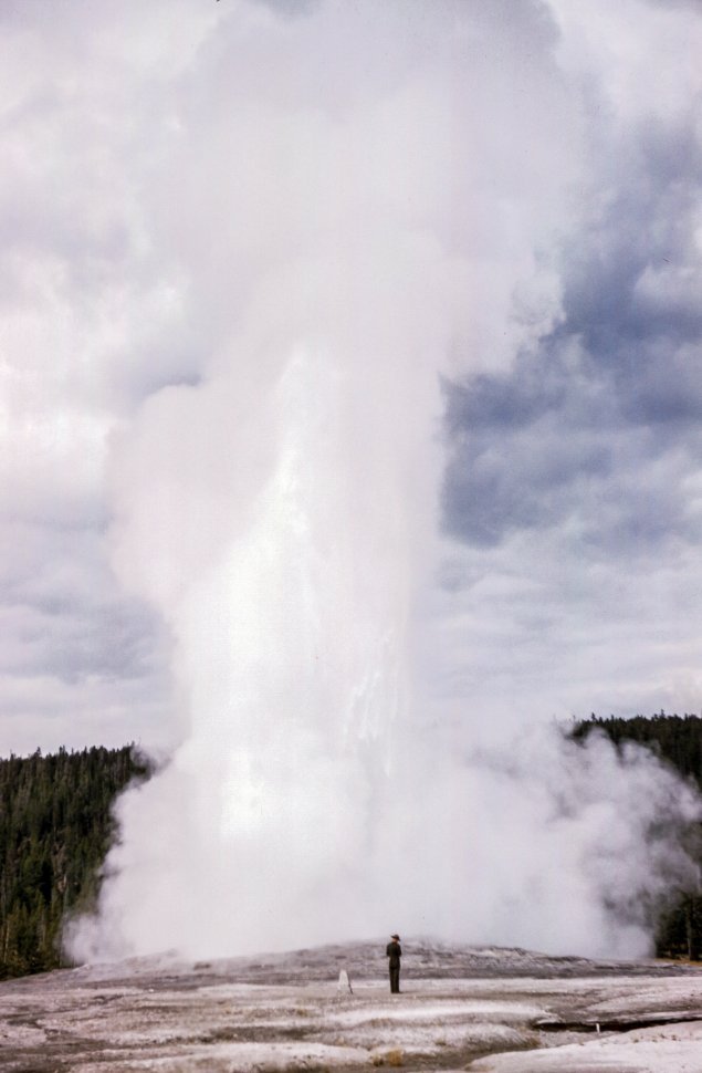Free image of View of Old Faithful Geyser eruption in Yellowstone National Park, Wyoming, USA