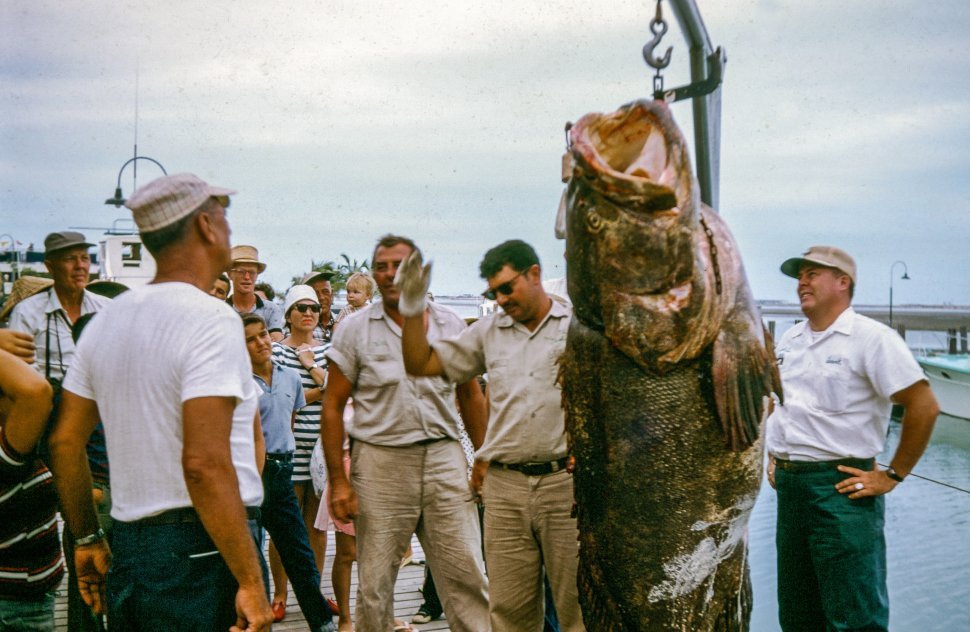 Free image of Fisherman weighing a big fish