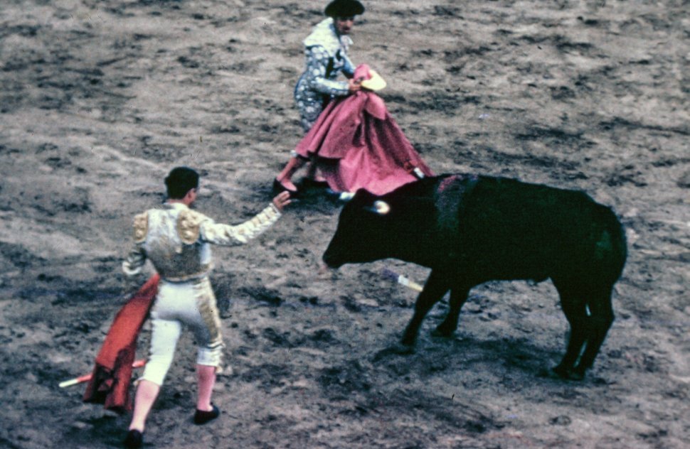 Free image of Bullfighter holding his cape during bullfighting in Mexico