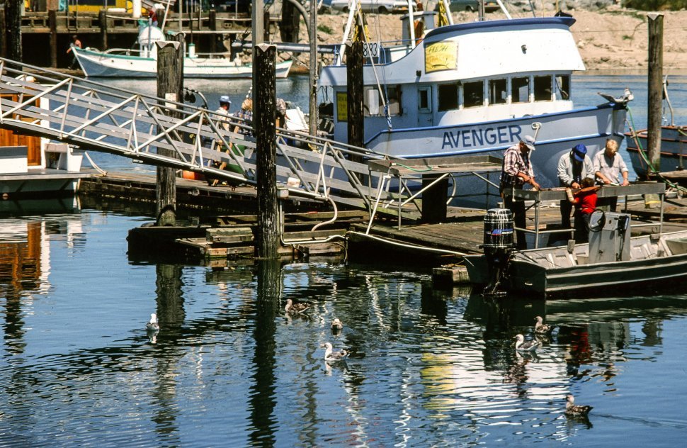 Free image of Boats and people seen at the dock
