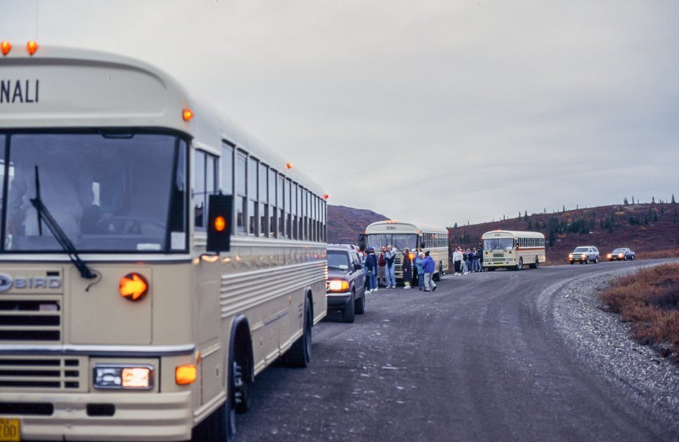 Free image of Row of tour buses and cars parked along a road at Denali National Park, Alaska