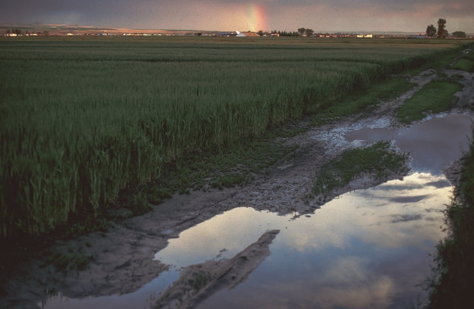 Free image of Water flowing in an irrigation canal