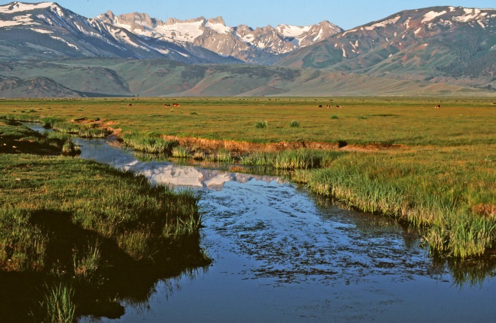 Free image of View of a river surrounded by green grass with mountains seen in the background